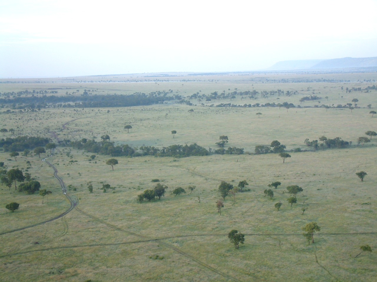 Ökosystem Serengeti (Quelle: Ralf Krüger)