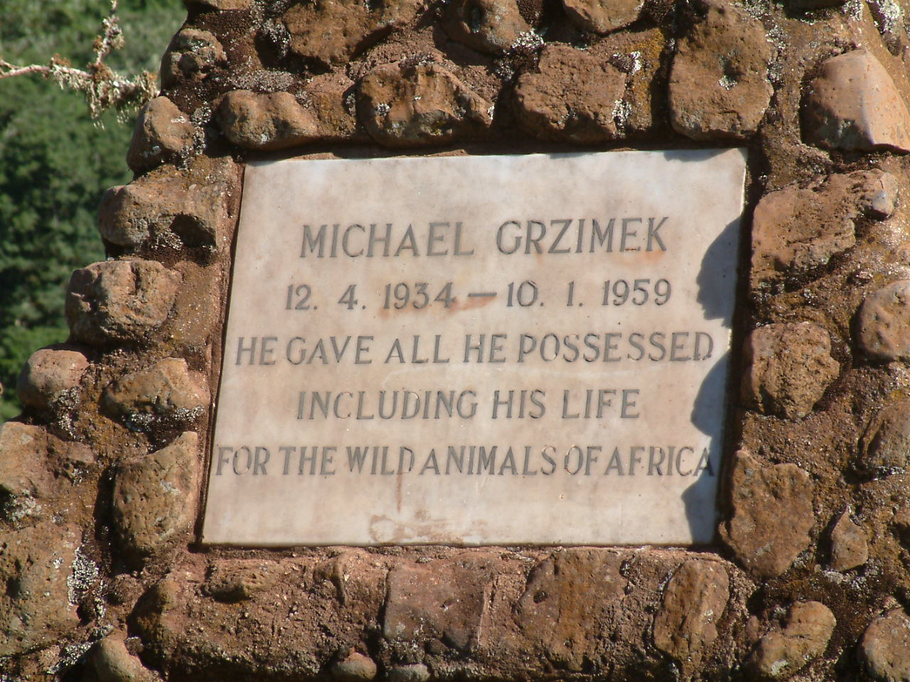 Grzimek3