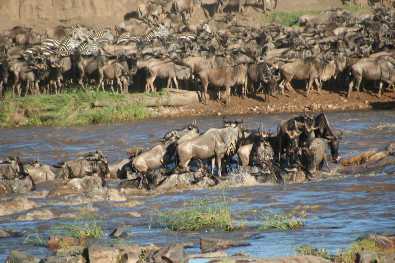Die Überquerung des Mara Rivers (Quelle: Stefan Swanepoel, CC BY-CA 3.0)