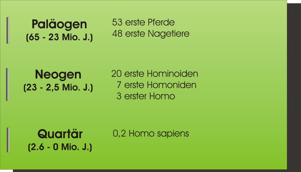Känozoikum Bio