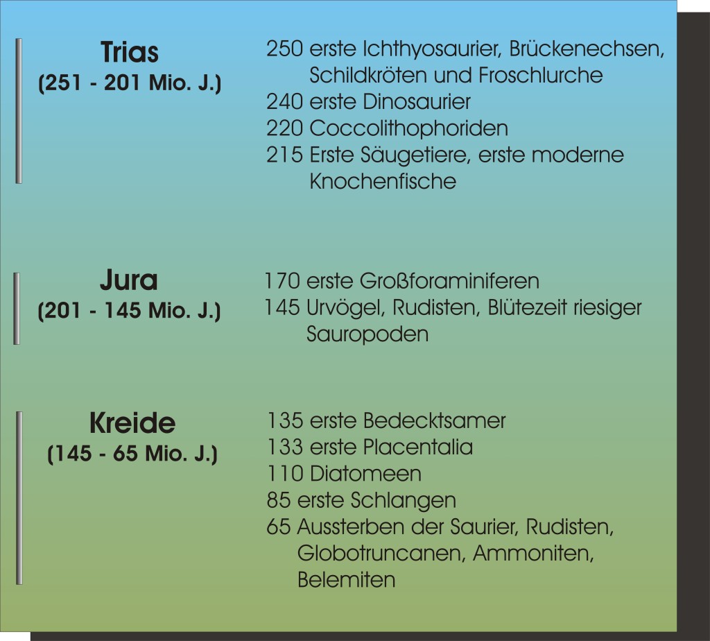 Mesozoikum Bio