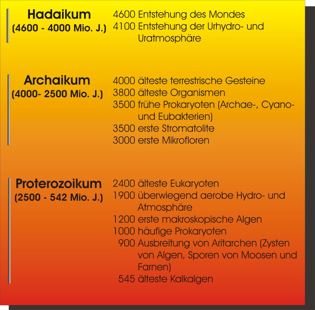 Präkambrium Bio