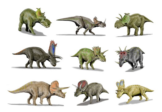 Rekonstruktionsbild Der Familie Ceratopsidae Heterodontosaurus Quelle: N.Tamura (CC BY-SA 3.0)