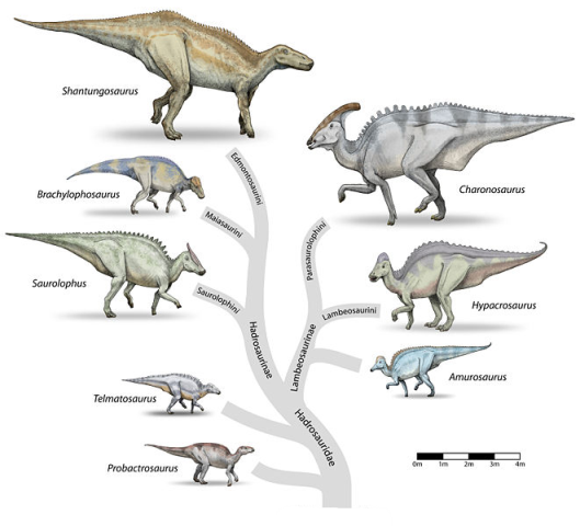 Rekonstruktionsbild der Familie Hydrosauridae Quelle: Debivort (CC BY-SA 3.0)