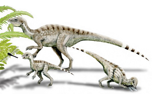 Rekonstruktionsbild vom Heterodontosaurus Quelle: N.Tamura (CC BY-SA 3.0)