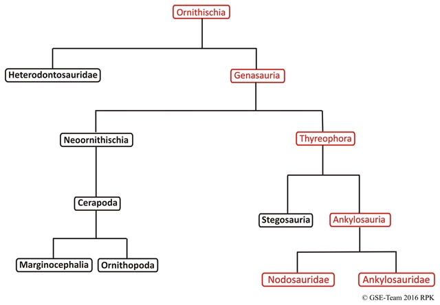 Kladogramm: Familie der Ankylosauria