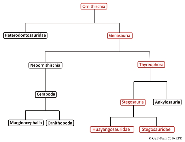 Kladogramm: Familie der Stegosauria